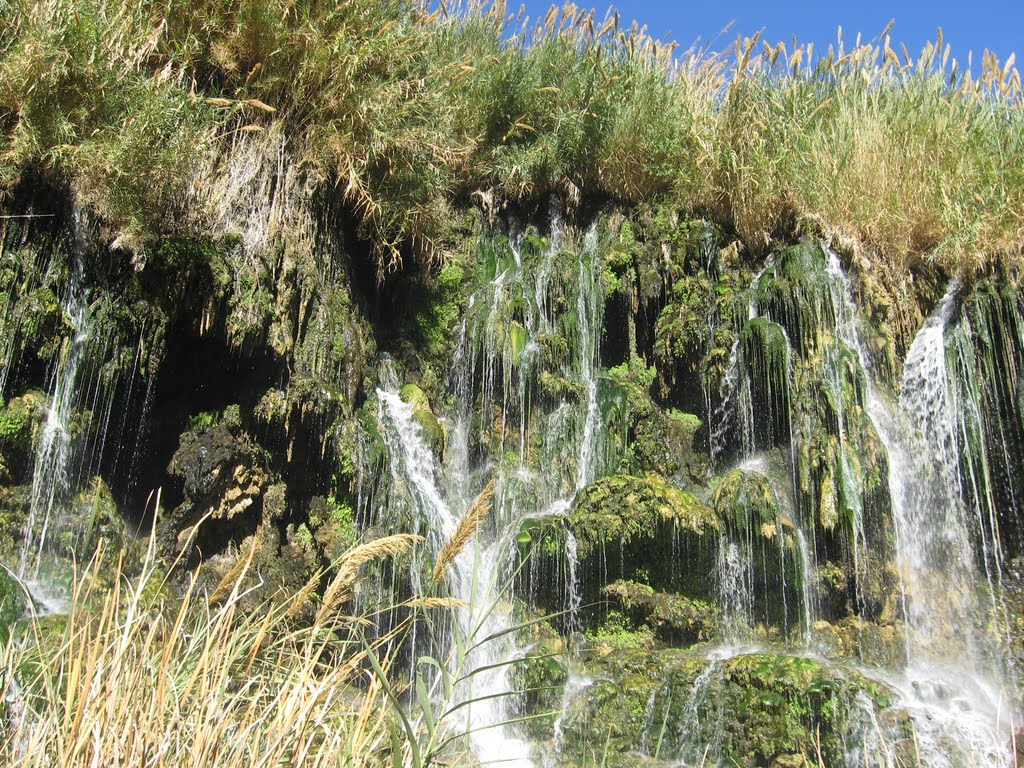 آبشار آبگرم فدامی