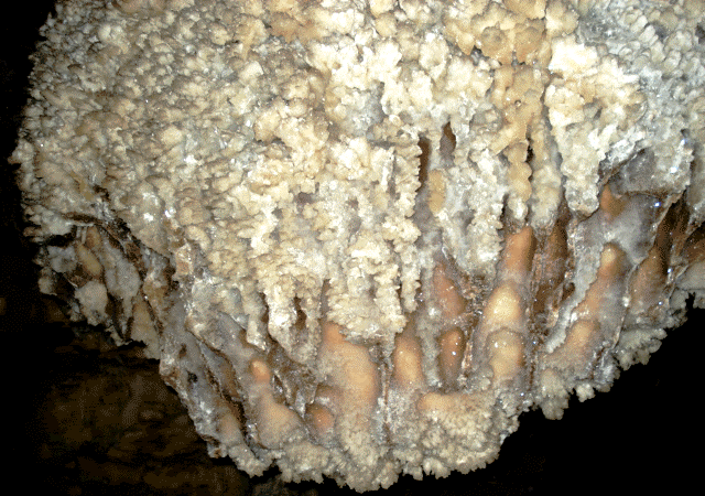 غار نباتی