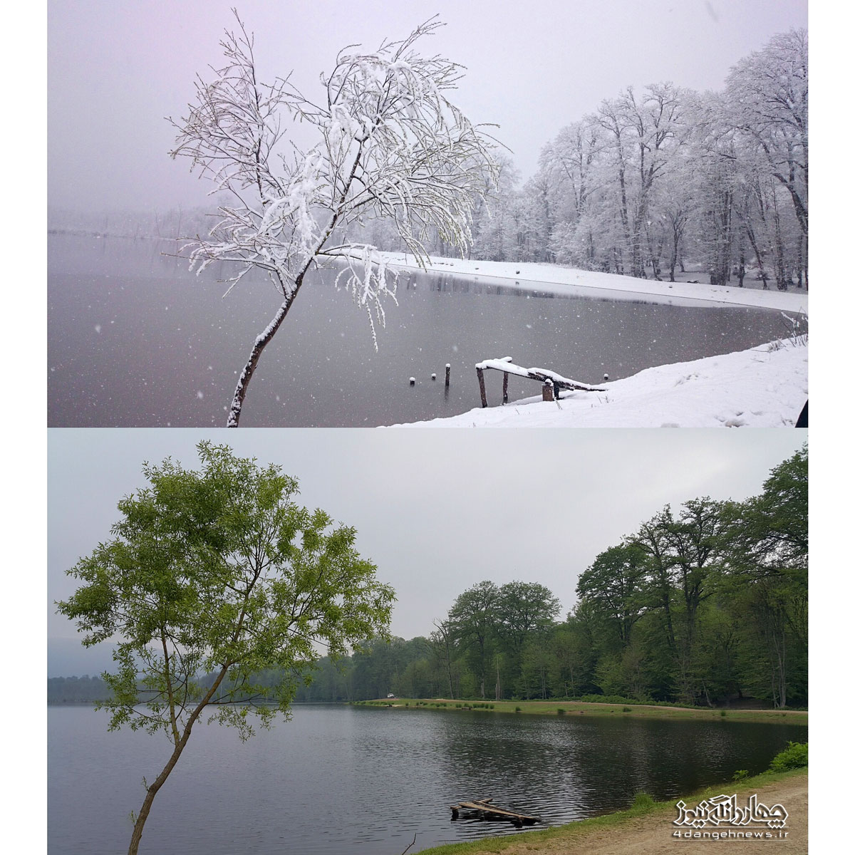 طبیعت بهاری و زمستانی دریاچه الندان در یک نگاه