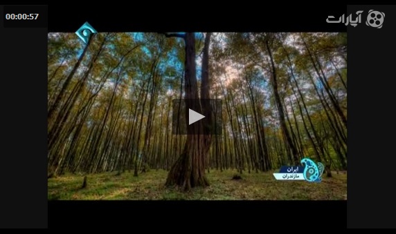 ویدیو طبیعت زیبای مازندران